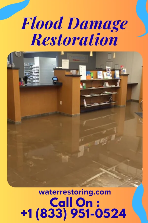 Flood Damage Restoration in Elliott, MD