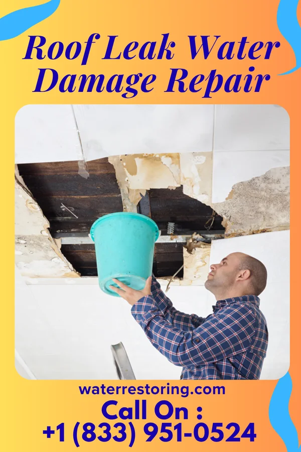 Roof Leak Water Damage Repair in Elliott, MD