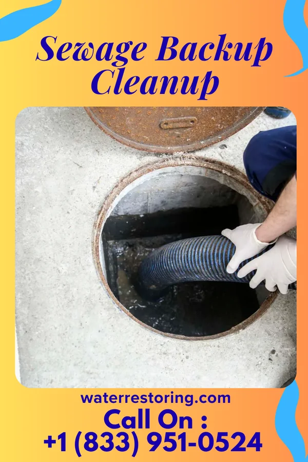 Sewage Backup Cleanup in Elliott, MD